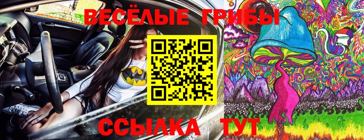Галлюциногенные грибы прущие грибы Хасавюрт